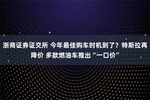 浙商证券证交所 今年最佳购车时机到了？特斯拉再降价 多款燃油车推出“一口价”