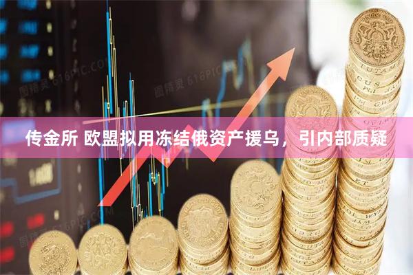 传金所 欧盟拟用冻结俄资产援乌，引内部质疑