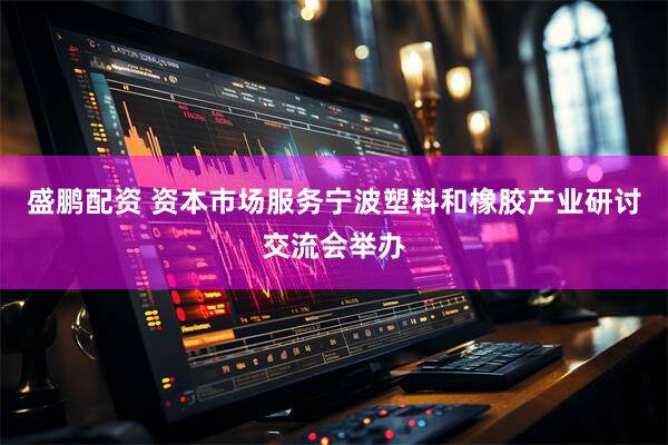 盛鹏配资 资本市场服务宁波塑料和橡胶产业研讨交流会举办