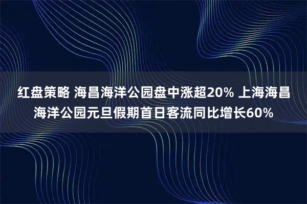 红盘策略 海昌海洋公园盘中涨超20% 上海海昌海洋公园元旦假期首日客流同比增长60%
